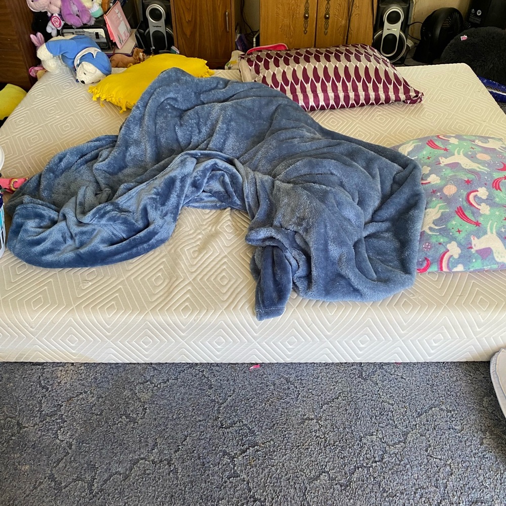 Queen Size Mattress